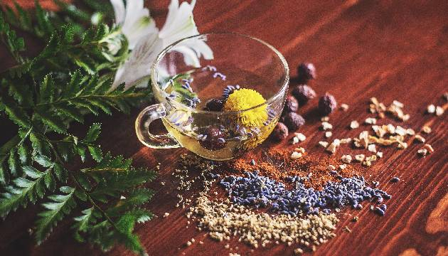 「吃苦」當吃補！每日一杯蒲公英淨化茶，遠離脂肪肝