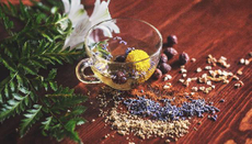 「吃苦」當吃補！每日一杯蒲公英淨化茶，遠離脂肪肝