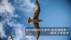 如何找到你生命中，最重要的事！？跟莊子學思考