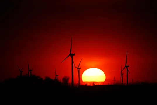 【專欄】邱銘源：今天　你地球日了嗎？