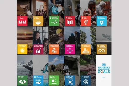 金融的溫柔手　SDGs支持行動