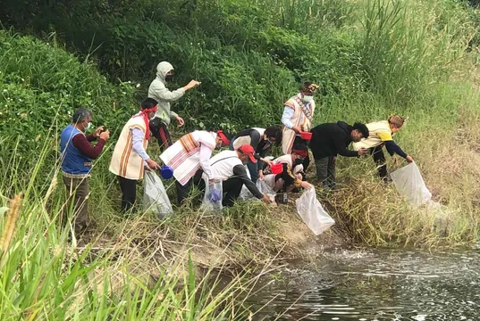 工程、外來種、除草劑⋯⋯「美人的眼淚」台東鸞山湖只能讓環境流淚？