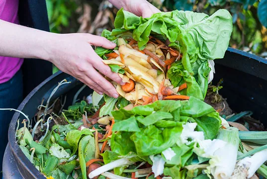 【專欄】譚景文：三個撇步　讓NG食材重新上桌