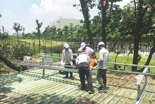 【國境之外，台17之西】關於流浪犬、太陽能、與雲林人的兩三事