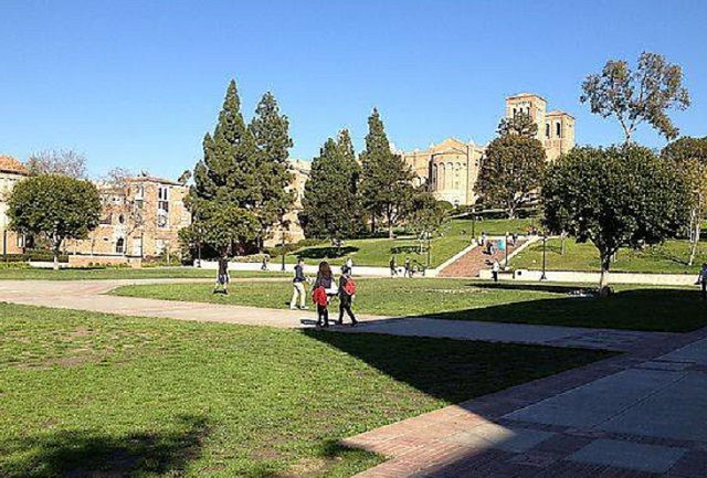 大學法人化　小國大學的下一步？