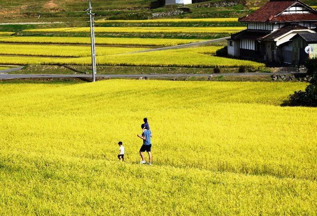日本經驗這樣做：也來組建一支全國性的「地方創生隊」吧！