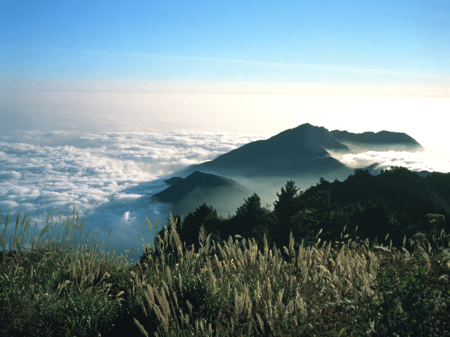 「療癒地景」正夯？打開世界，讓大自然為你舒壓