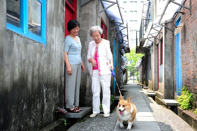 下一站，文化民主──「資深公民」也需要補救教學