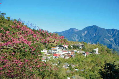 休閒產業 vs.觀光霸淩