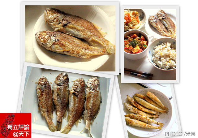 進擊的煎魚一定要「赤赤」