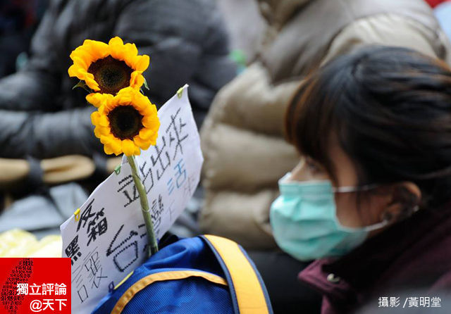 太陽花學運與世代戰火
