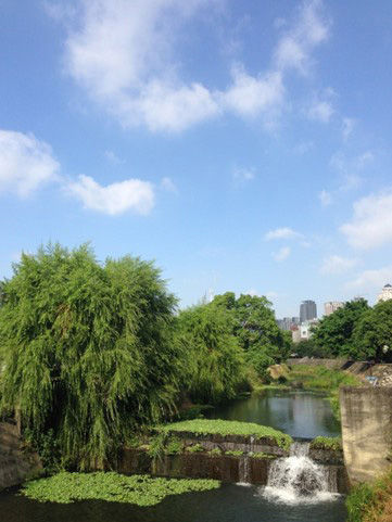 【讀者投書】「黎明新村」與「黎明溝」的黎明？