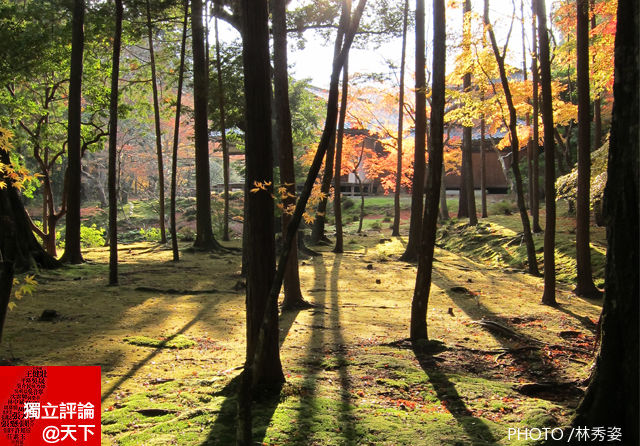 深秋楓紅看日本的「預約」文化