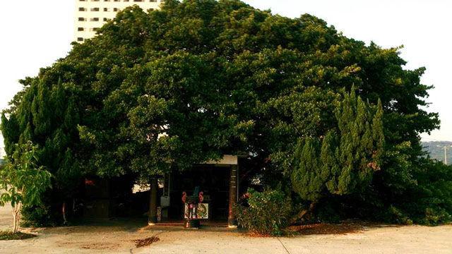 【投書】當都市計劃遇到土地公