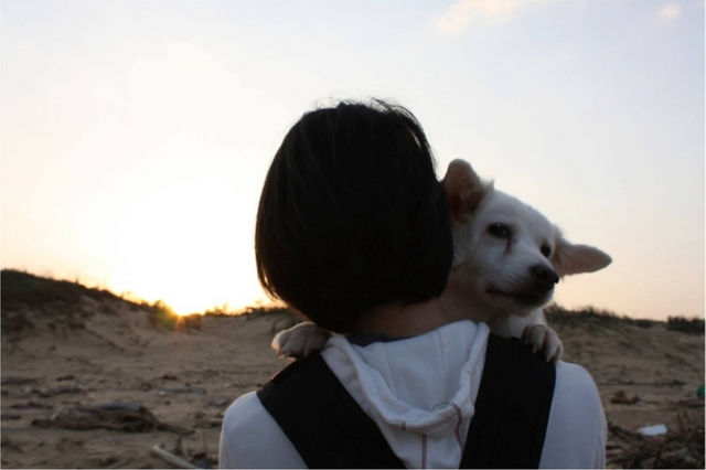 安樂死的重量（下）──莫讓痛苦「永不止息」