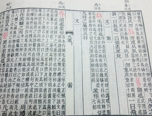 漢字分析不是看圖說話！「冉」是個王八嗎？