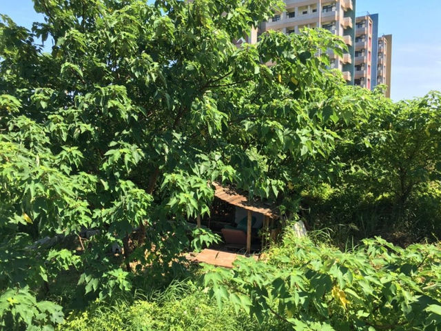 【投書】從原住民專班到「原住民族」專班──我在中原大學的看見