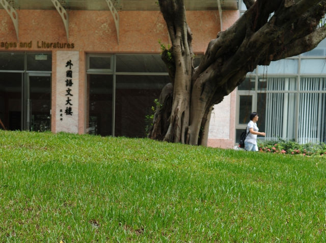 淡江要砍兼任教師？其實，禍首就是教育部