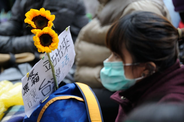 〈太陽花週年前的總檢討〉（中）