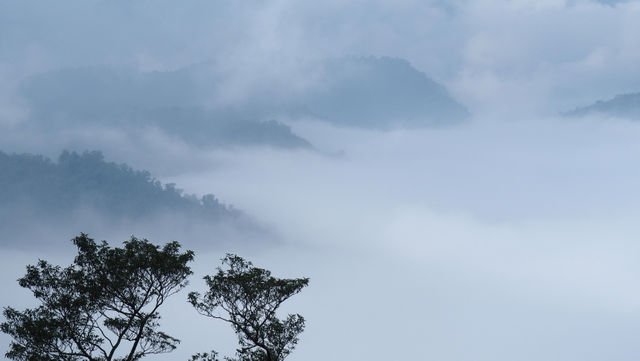 另類的阿里山人文風景
