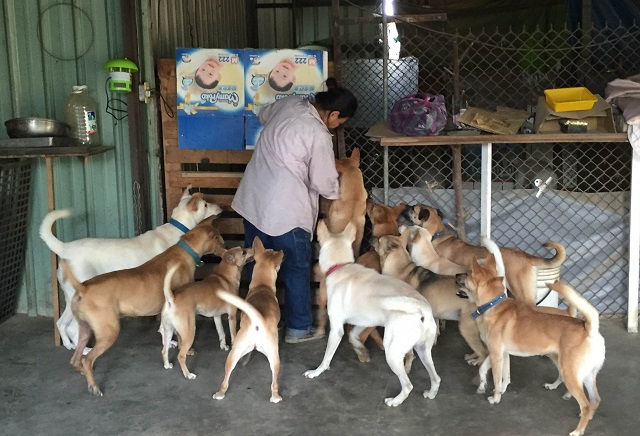 愛狗，可以成為志業！