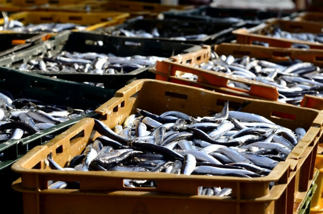 開放日本輻射食品輸台？蔡總統，人民已經在拍桌子了！