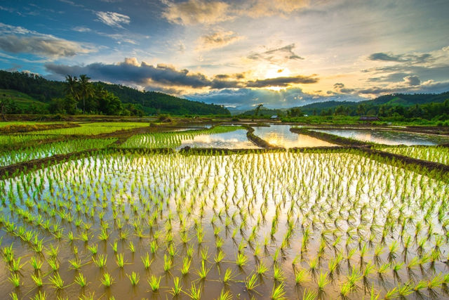 除了碳足跡，還要關心水足跡