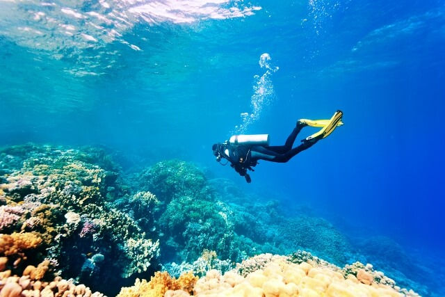 熱門的潛水活動，有助於海洋保育嗎？