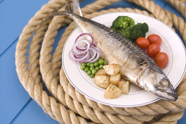 你，今天吃鯖魚了嗎？
