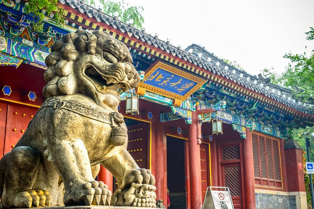 去中國念大學，是個好主意嗎？