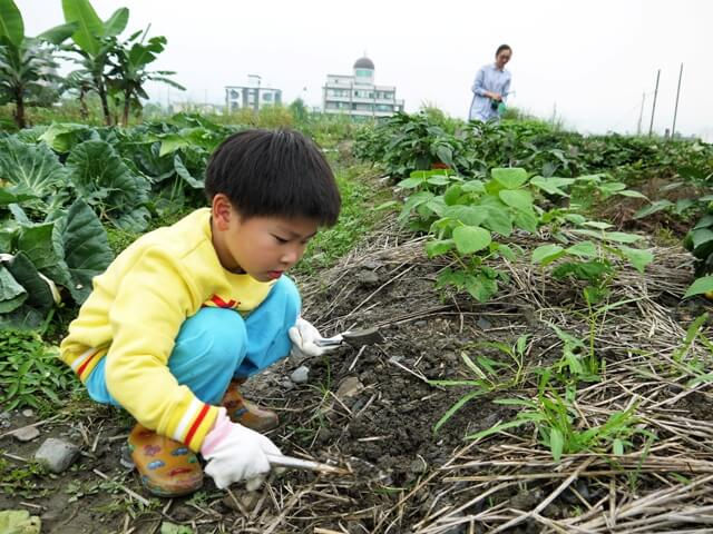 當我們「農」在一起，種菜樂無比！