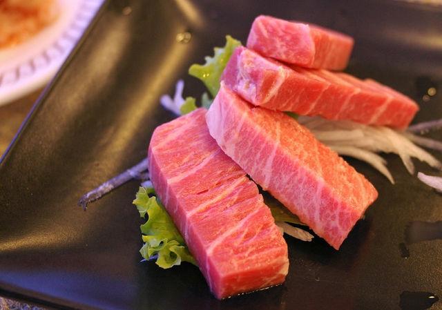 這一口，你吃的不是黑鮪魚，是海洋中的渡渡鳥