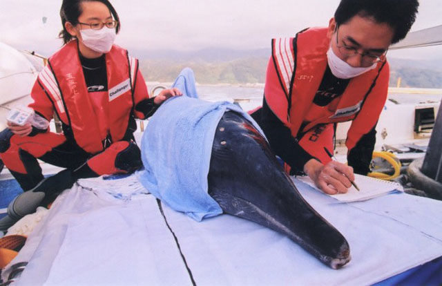 【讀者投書】你花了多少時間關注台大登山事件呢？「為了台灣」，花 3 分鐘看看這 10 件募資計畫吧！