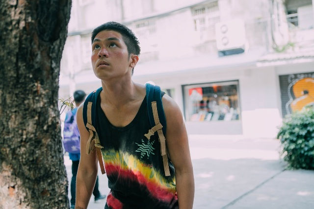 青春故事這麼多，你找到自己的世界了嗎？