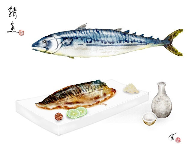 食欲之秋說鯖魚