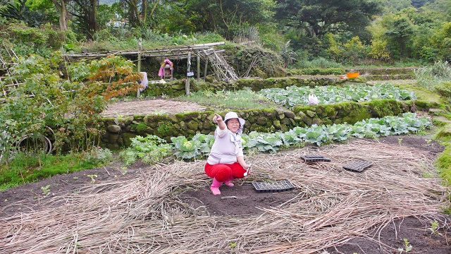 為什麼要帶學生進田野？一位「認路姊」給我們的啟發