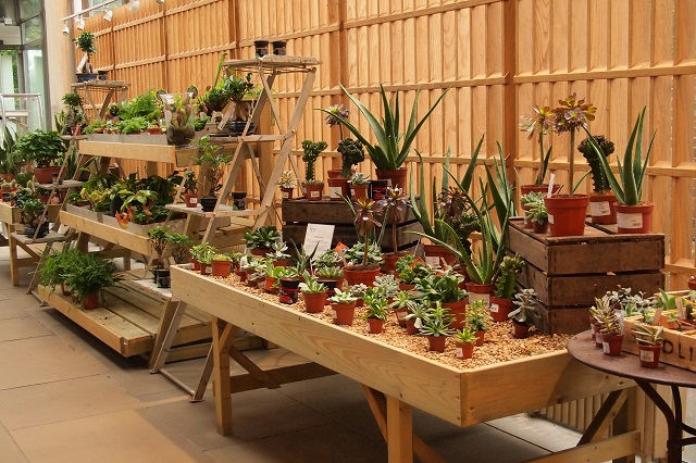 「都市園藝」新顯學：逛花市、農夫市集，是最佳的都市療癒！