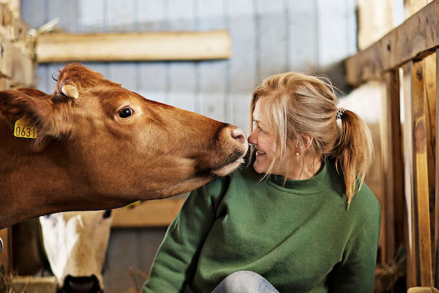 種菜、養牛、走進小農生活──米其林一星餐廳的永續哲學