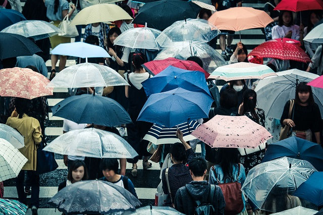 如何把海綿城市做到「放眼世界，征服宇宙」？