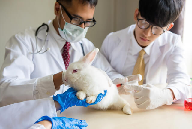 非專業可以挑戰專業嗎？談「實驗動物照護及使用委員會外部委員」的重要性