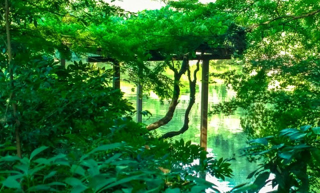 【來讀書】聖地巡禮，原來是似曾相識的重逢【來讀書】聖地巡禮，原來是似曾相識的重逢