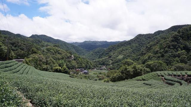 【投書】打破「觀光凝視」，旅行還可以是什麼樣子？
