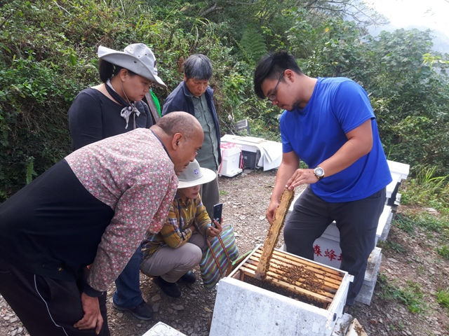 地方青年的原鄉實踐：從一片蜂蜜茁長出的部落產業