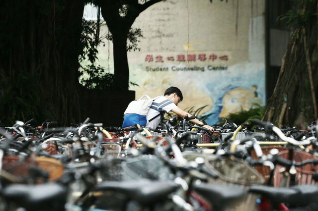 致在期望裡迷失的「高材生」：示弱、求助都是繼續戰鬥的方法