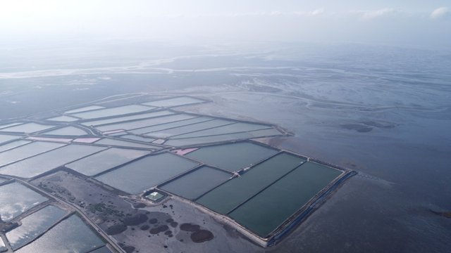 彰化大城濕地光電案：太陽光電的社會溝通的負面教材