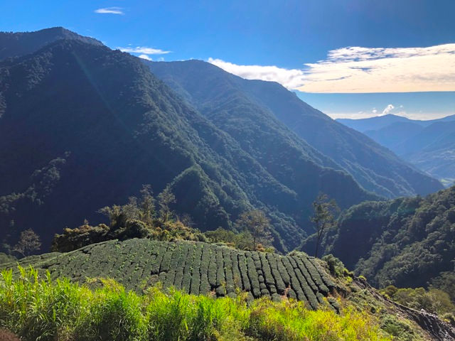 從桃源國中的公辦民營之路，看見台灣社會的多元可能