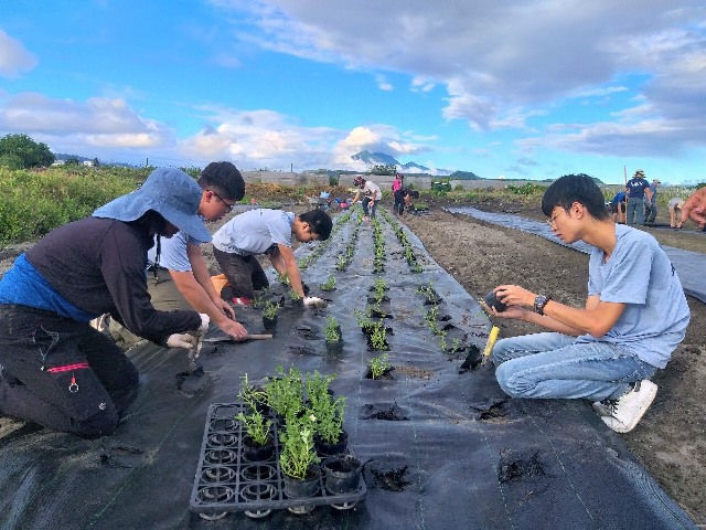 景觀造園、休閒園藝，他們的綠手指是這樣紮實培養出來