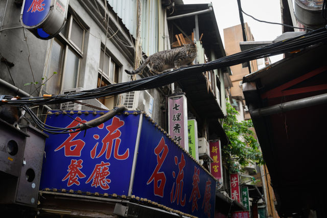 從「酒店、舞廳」到「八大行業」全國停業　另類社會安全網崩潰？