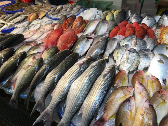 疫情之下，我們如何藉由「挑食」活得更永續？