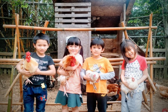 養雞、木工、有機農法：迷你小學的大未來